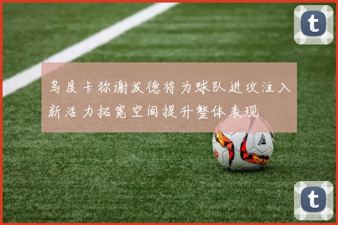乌度卡称谢泼德将为球队进攻注入新活力拓宽空间提升整体表现