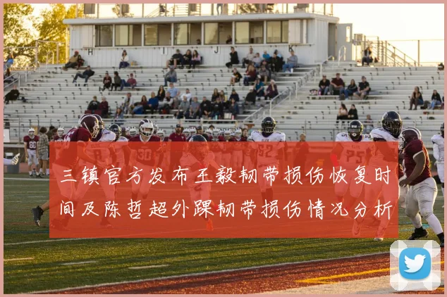 三镇官方发布王毅韧带损伤恢复时间及陈哲超外踝韧带损伤情况分析
