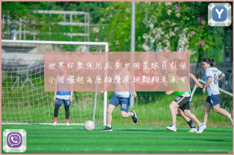 世界杯聚焦厄瓜多尔明星球员引领小将崛起高原雄鹰展翅翱翔未来可期